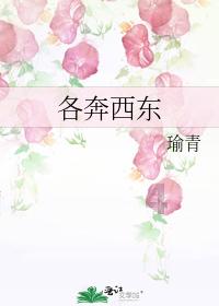 午时的猎人无敌版