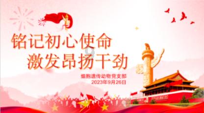 你有痛经的经历吗？痛经的时候你是怎么缓解的？游戏画面