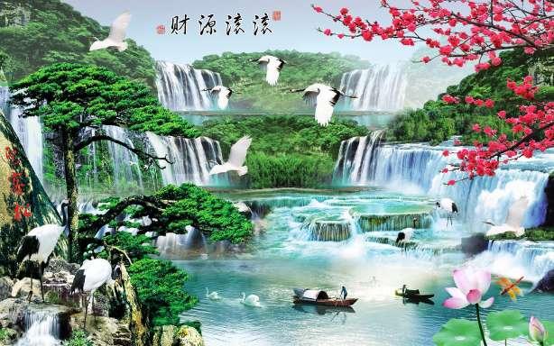 可爱的小孔雀救援